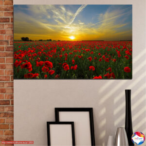 Rote Mohnblume bei Sonnenuntergang Leinwanddruck