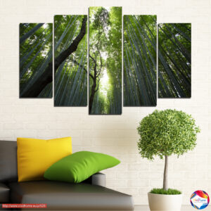 Empyrean 5 pieces №0525