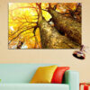 Five connected panels show a close-up view of autumn forest trees