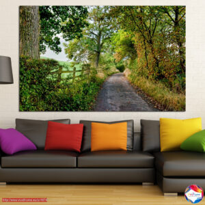 Walk through the tunnels of nature 1 piece №0854