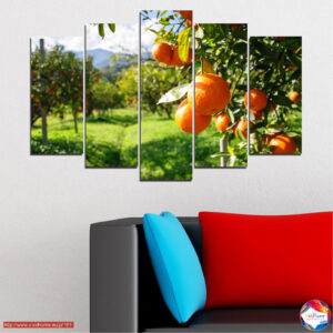 Fruit Garden 5 részes vászonnyomat szett