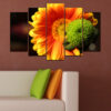 Cinque pannelli separati mostrano fiori gerbera in primo piano in rosa, arancione, gialli e rossi vivaci