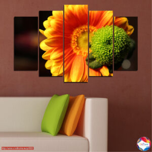 Gerbera Flower Collage 5-Piece Canvas Print