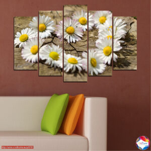 Daisy Heart Petals Canvas Print – 5-delige set