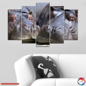 Comrades 5 pieces №0478