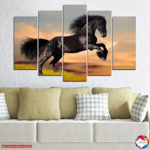 Černý mustang v louce – pětidílný canvas
