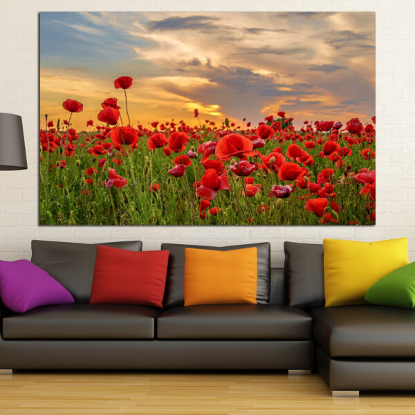 Coquelicots Rouges Sous un Ciel Orageux