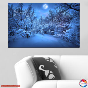 Frosty Night Moonlit Landscape Canvas Print