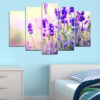 Five connected panels show rows of purple lavender in full bloom