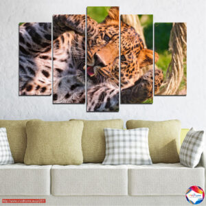 Leoparden-Porträt 5er-Leinwand-Set