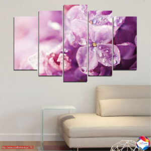Violet Blossoms with Water Droplets Canvas Print – 5 Pieces