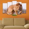 A lion portrait split across five panels, showing the animal's face and mane in warm golden and amber tones against a dark background