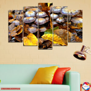 Pick 5 pieces №0523