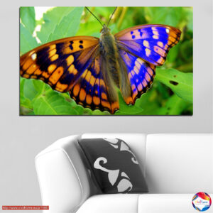 Schmetterling auf Blume Leinwanddruck
