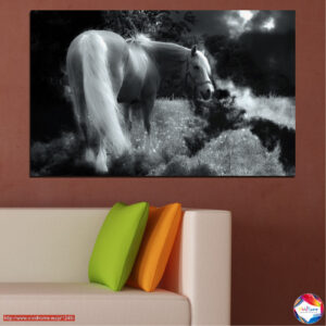 Metsis galoppis Canvas Print