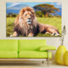Un lion mâle en portrait rapproché, crinière dorée encadrant des yeux ambrés et un regard direct