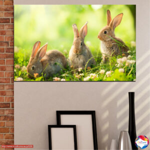 Πασχαλινό Κουνέλι σε Ανοιξιάτικο Λιβάδι Canvas Print