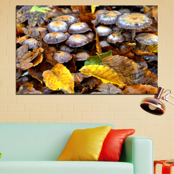 Autumn Forest Mushrooms Canvas Print