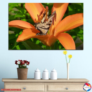 Liblikas ja Wildflowers Canvas Print