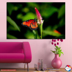 Weißer Schmetterling auf violetten Blüten Leinwanddruck