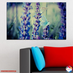 Πεταλούδα σε Άγρια Λουλούδια Canvas Print