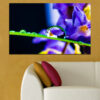 Water droplets cling to flower petals in soft focus, captured in natural light