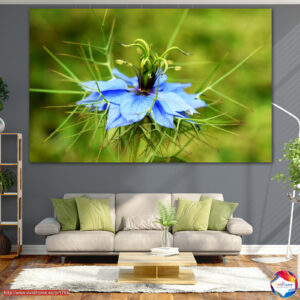 Weiße Gartenblumen Leinwanddruck