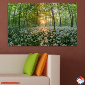 Päikesevalguses paistev wildflower-niidu lõuendprint