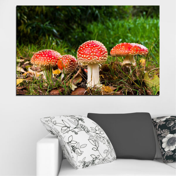 Impressão em Tela Cogumelos da Floresta
