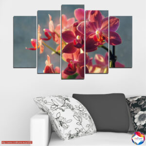 Orchideen-Bouquet 5-teiliges Leinwand-Set