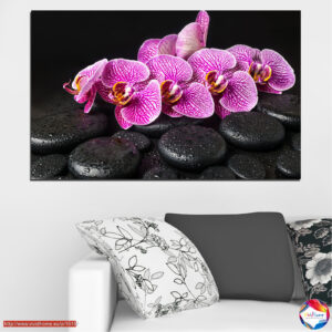Ορχιδέα & Spa Stones 5-Panel Canvas Print