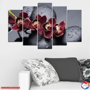 Orchidea és kövek vízcseppekkel 5 részes vászonkép