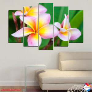 Plumeria Flowers Bouquet 5-Piece Canvas Print