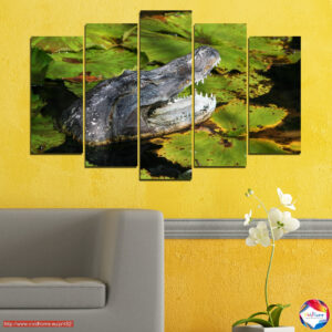 The Predator 5 pieces №0482