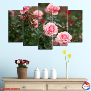 Rose mit Dornen 5-teiliger Leinwanddruck