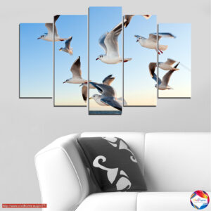 Free Flight 5 pieces №0477