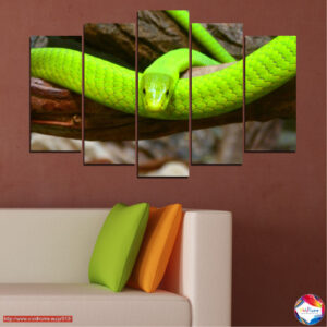 Neon Snake on Branch 5-Piece Canvas Print