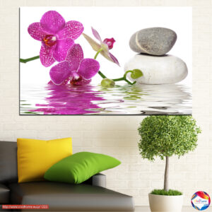 Vee Lilled Feng Shui Kanvaspilt