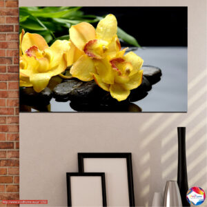 Goldene Seerose auf Wasser Leinwanddruck