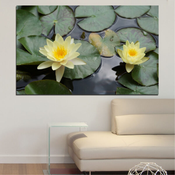 Ūdens Lilijas Audekla Prints - Maiga Rozā Ziedošana Mierīgā Ūdenī
