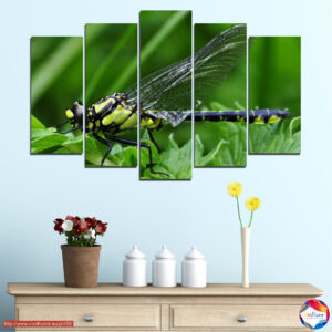 Spāre virs ūdens 5 daļu audekla prints