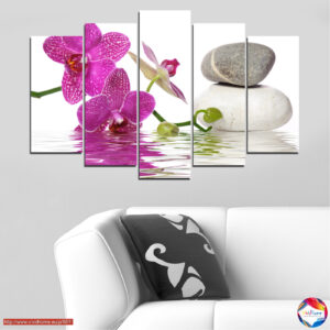 Humility 5 pieces №0561