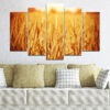 Five canvas panels show cereal sprouts in warm golden tones