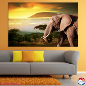 Elefant bei Sonnenuntergang Leinwanddruck