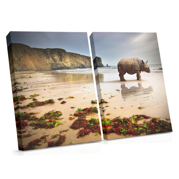 Rhino on Sandy Beach Canvas Print