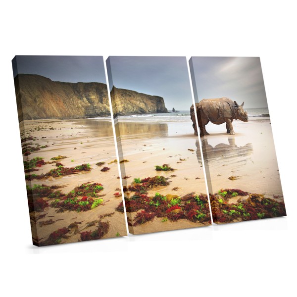 Rhino on Sandy Beach Canvas Print