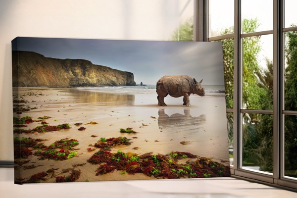 Neushoorn op zandstrand canvas print - aan de muur in een interieur