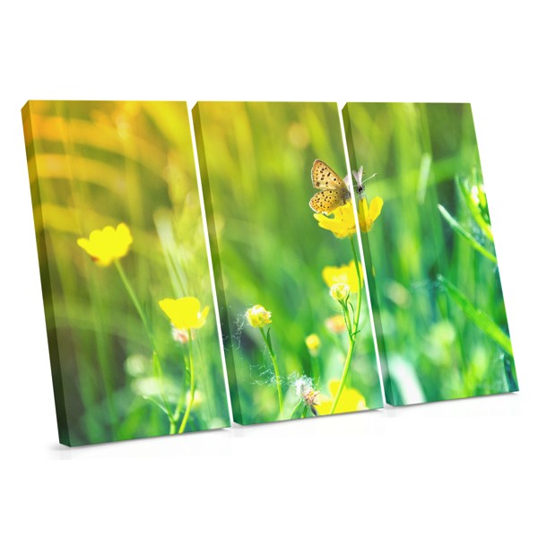 Schmetterling auf Wildblumenwiese Leinwanddruck