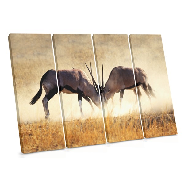 African Antelope in Grassland Canvas Print