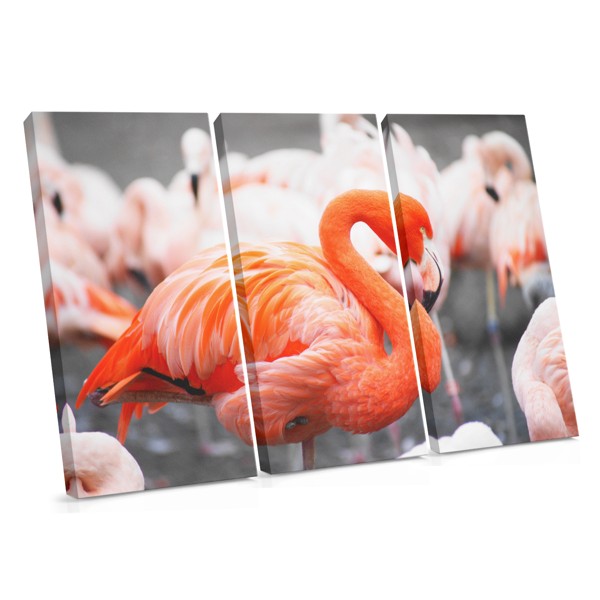 Pink Flamingo in Water Canvas Print